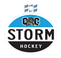 Badge Sticker