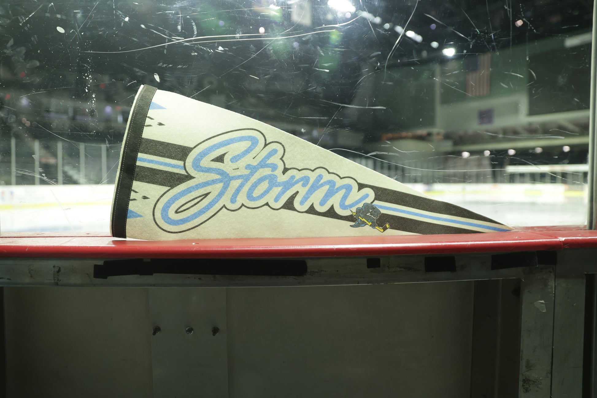 Winter Classic Pennant