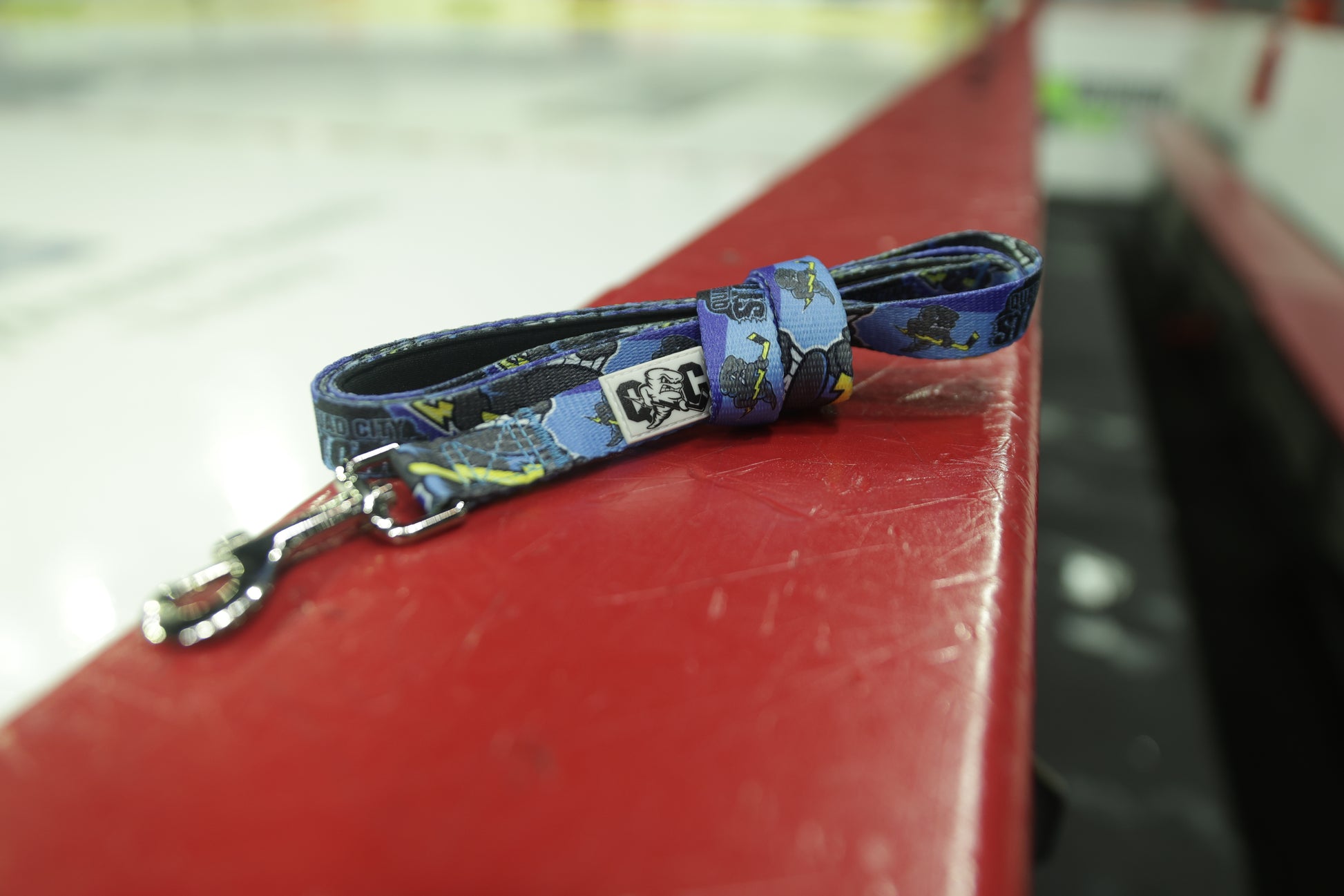 Branded Dog Leash