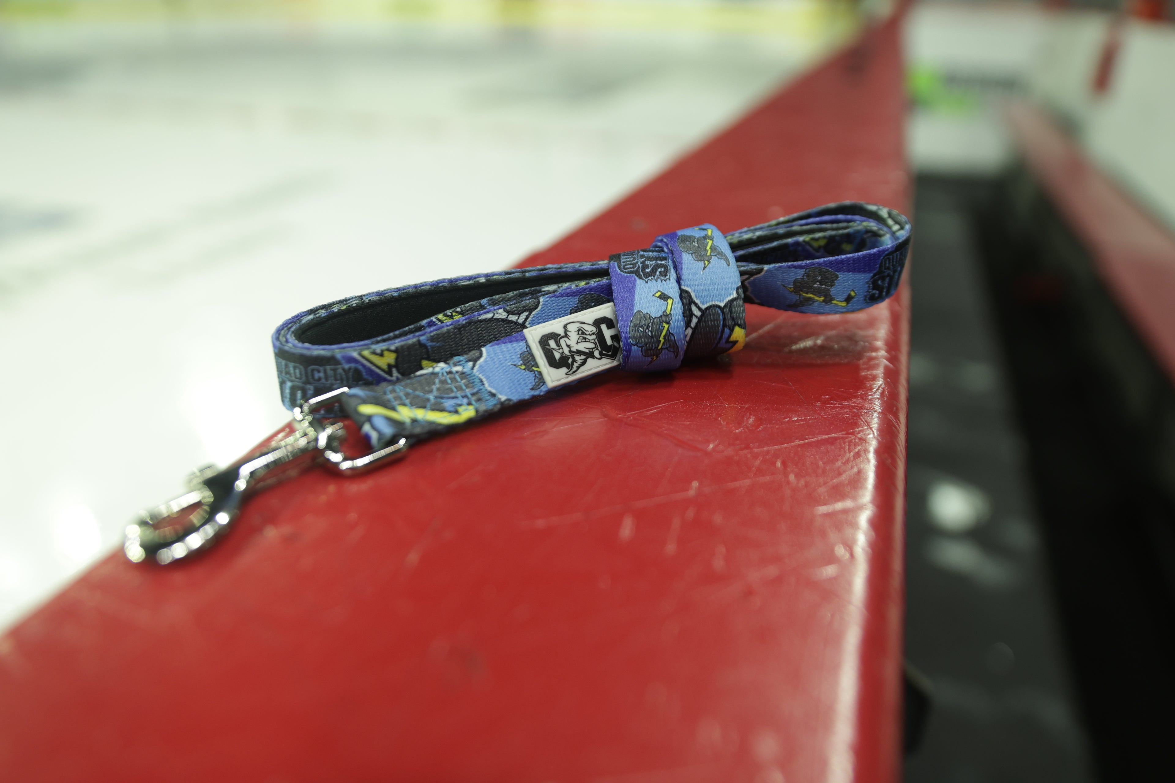 Branded Dog Leash