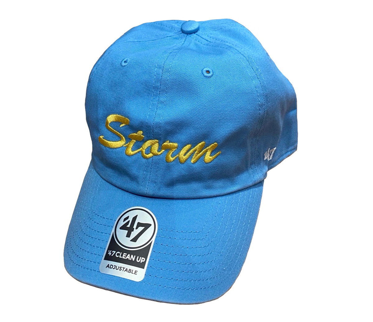 Blue Storm Embroidered Hat