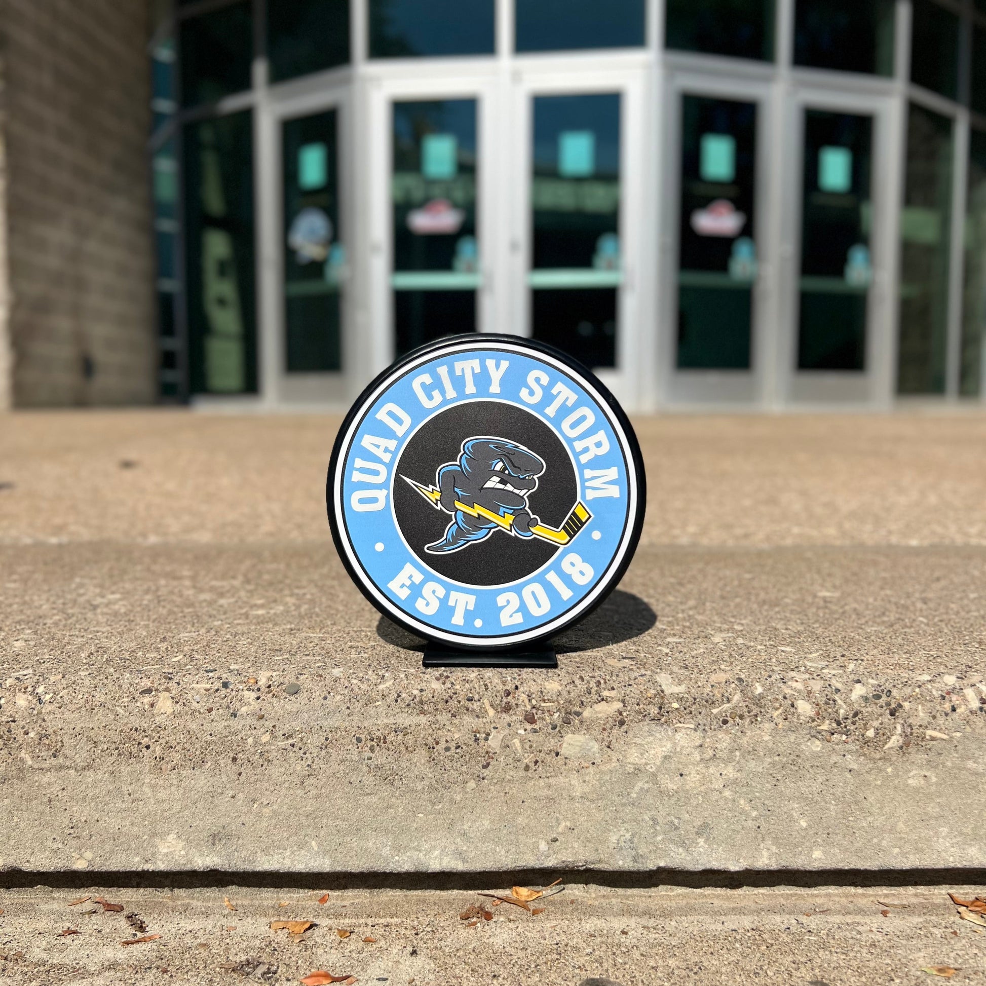 Mustang Hockey Pucks