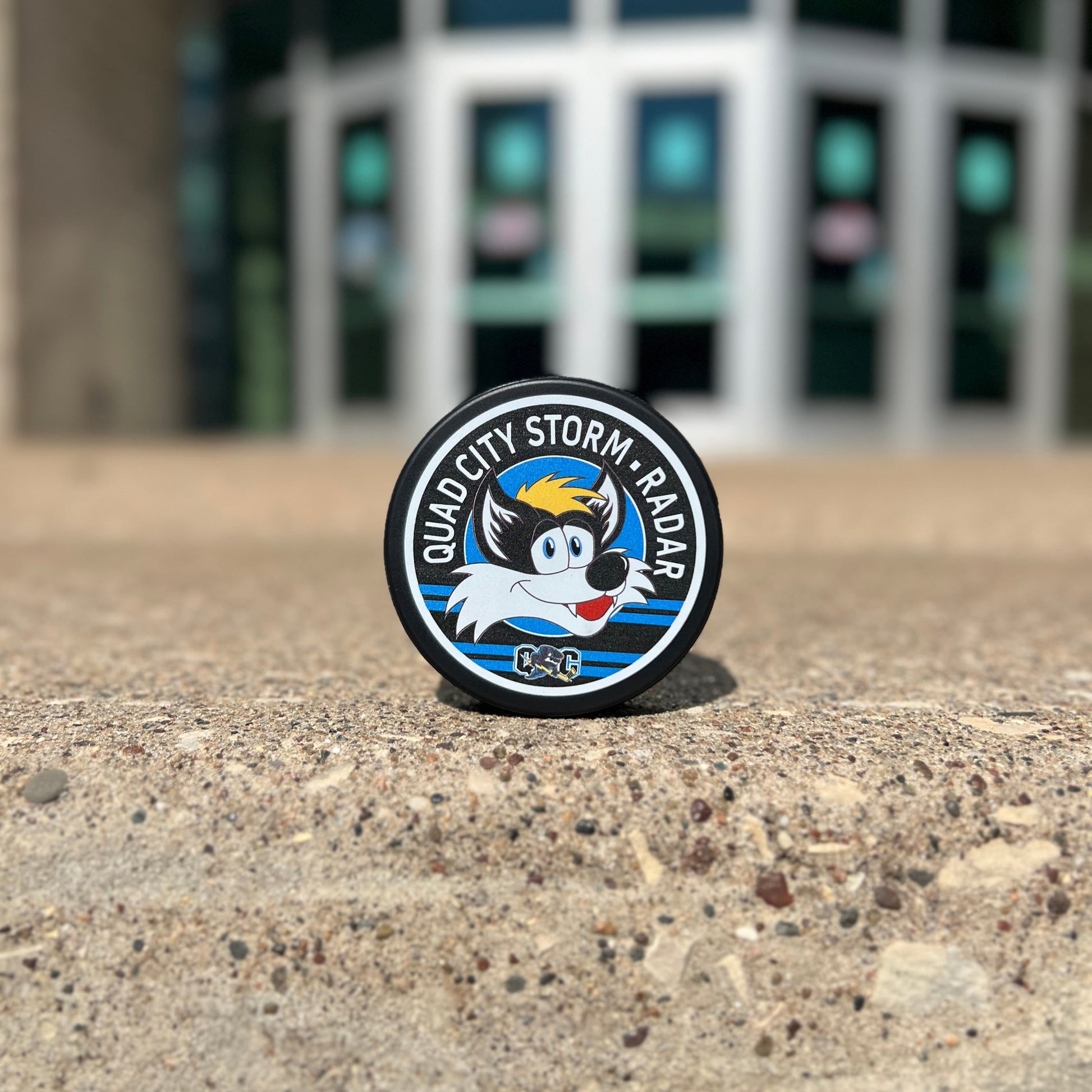 Mustang Hockey Pucks