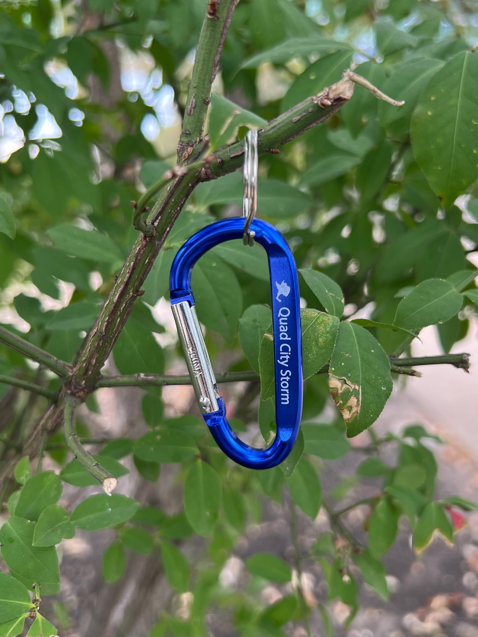 Carabiner Clip