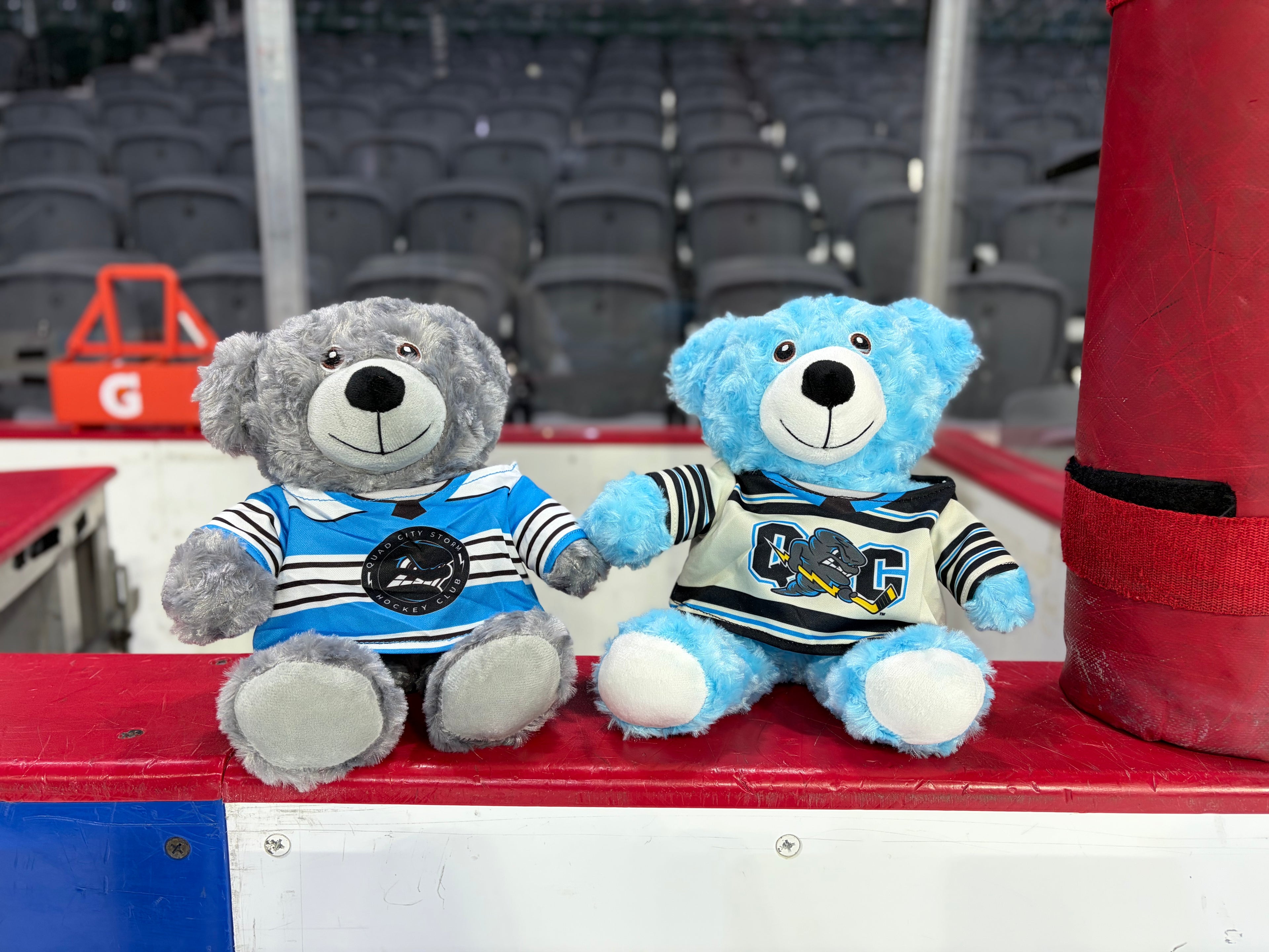 Teddy Bear