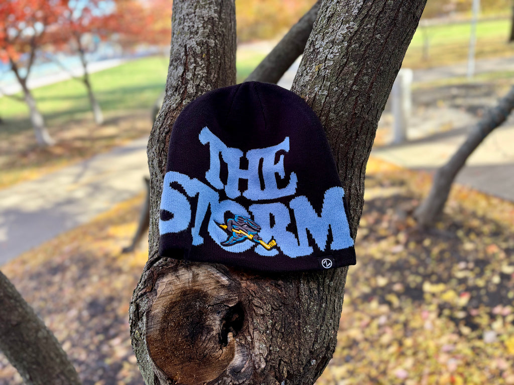 Big Logo Knit Beanie