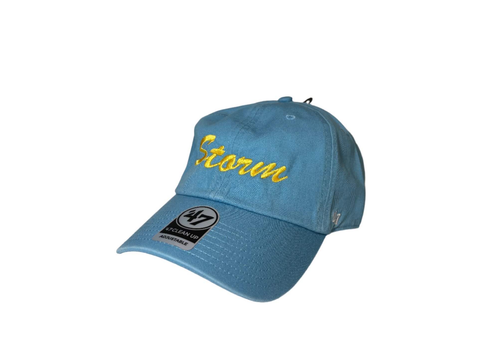 Blue Embroidered Hat