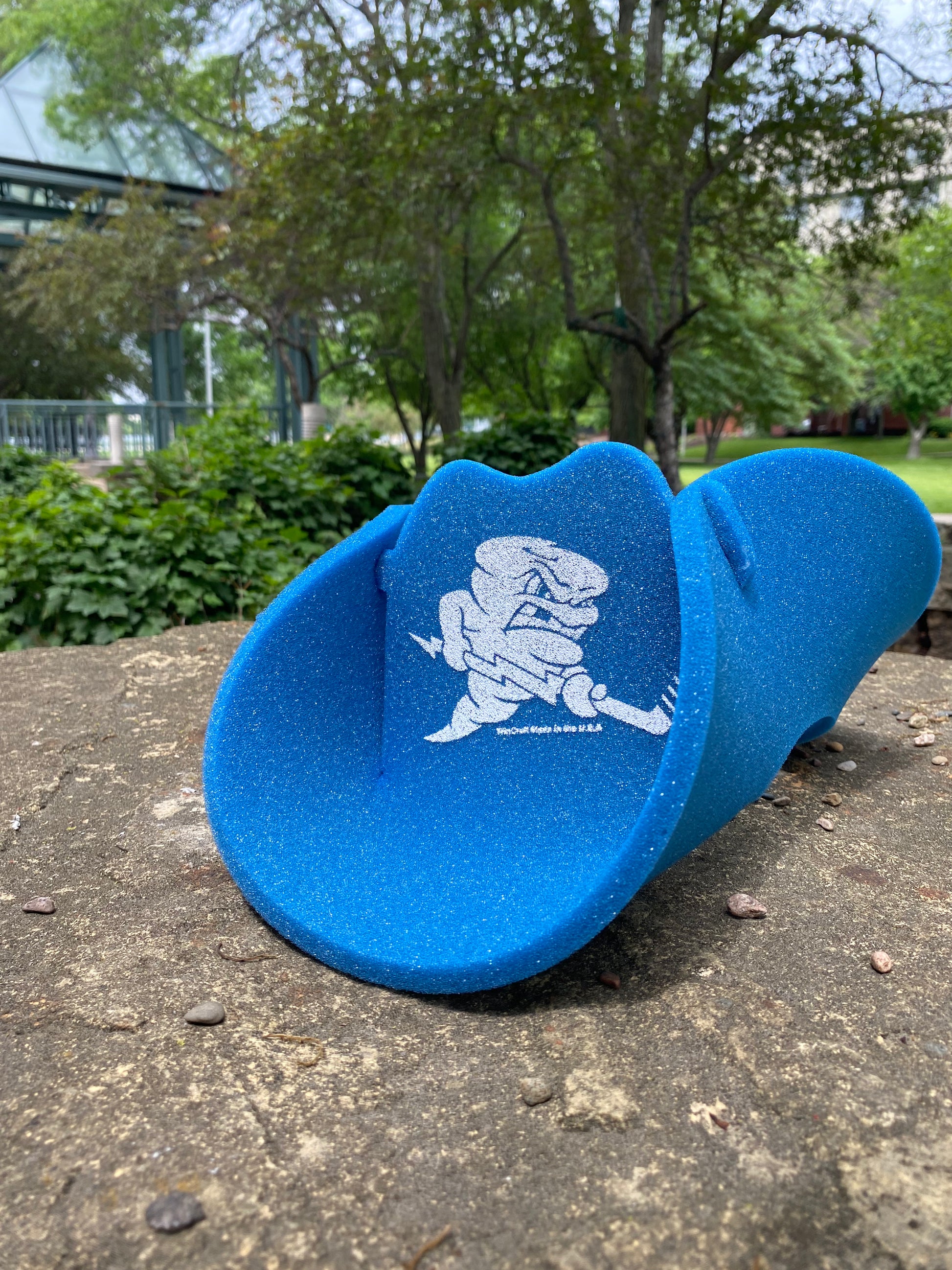 Cowboy Hat Visor