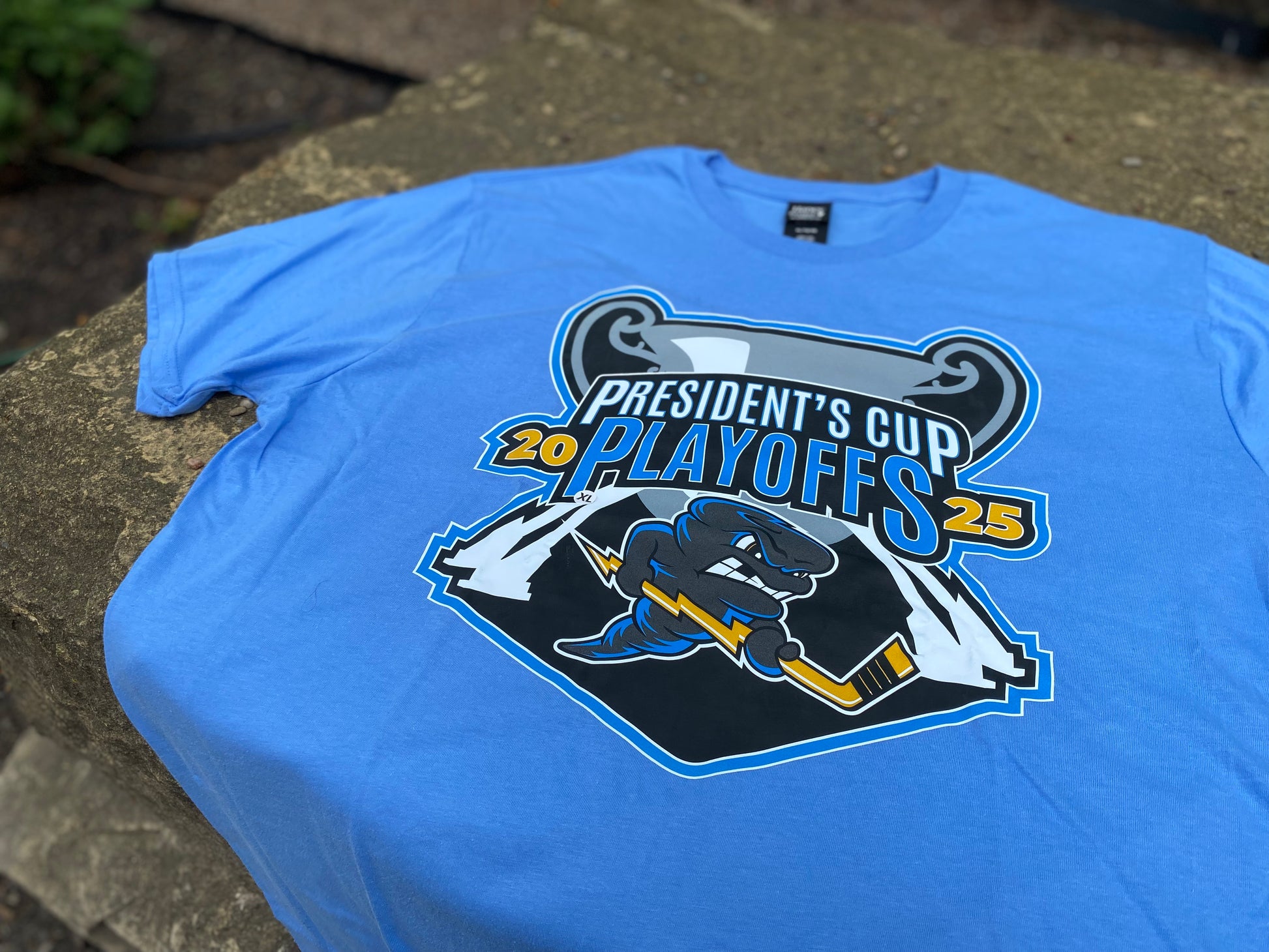 Playoff Logo T