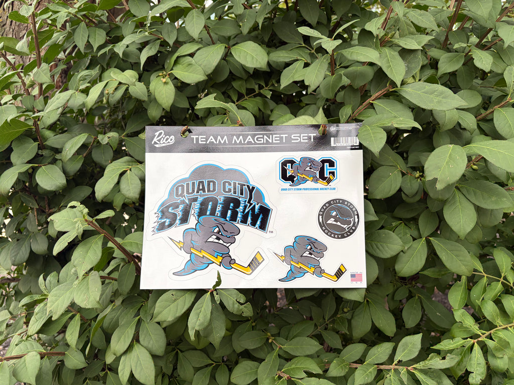 4-Piece Magnet Set