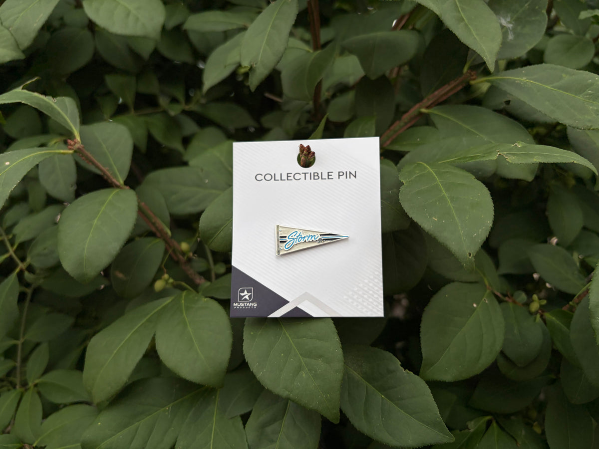 Pennant Pin