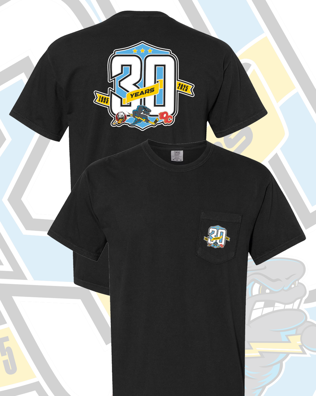 30th Anniversary Tee
