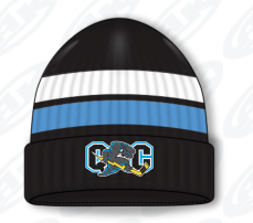 Frozen Stripe Beanie
