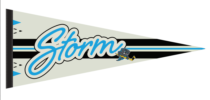 Winter Classic Pennant
