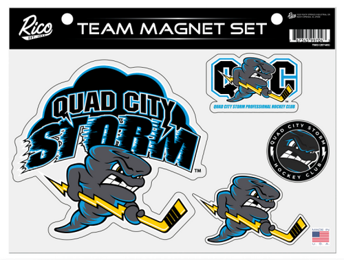 4-Piece Magnet Set